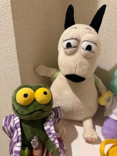 けろちゃんのほごしゃさんが ばんぱく にいったんだって、おみやげをくれたよ🐸🩷
けろちゃんにはちょっとおおきいから、ほかのけろちゃんとこうかんこしてねっていわれたよ　
