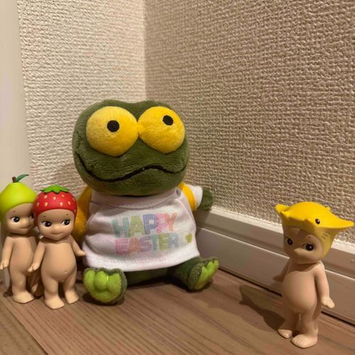 けろちゃんのおうちににゅーめんばーがきたよ！⭐️

けろちゃん いがい の めんばーは ぬいみしりしてたよ。けろちゃんは りーだー として むかえいれたよ😼