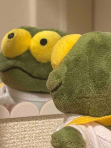 けろちゃんのいえに あたらしい かがみが きたんだよ〜🎶
どう？かっこいい？