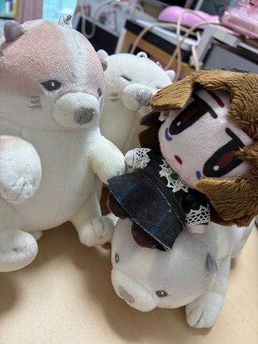 えー！ろせつわんちゃん🐶おうちにむかえたの？？？もう！！！もふもふでたまらないわ///
