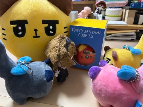 あたらしいおともだち！
ひとりできたの？すごいわね！
もうきょうからさみしくないよ！！！
