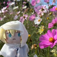 まんばちゃん