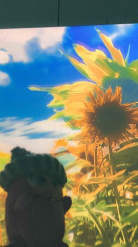 夏 が 待ち遠しい〜
