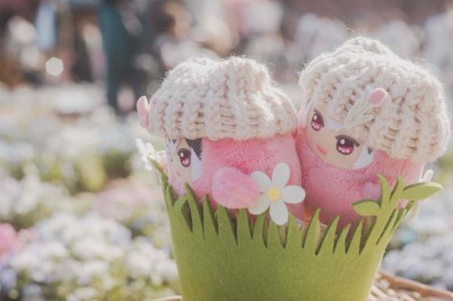 お花 いっぱい きれい だね✨
よ〜く 見ておきな☝️