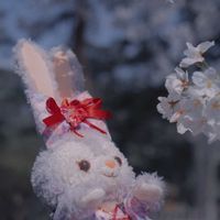 よね