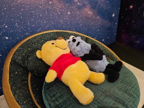 プーさんの腕枕、やわらかくて気持ちいいね
