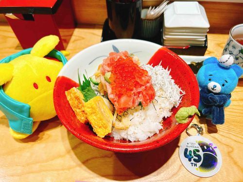 美味しい海鮮丼を食べたよ！最後に出汁茶漬けにしたんだ〜✨えふたんは北海道で美味しい海鮮食べなれてるからね！