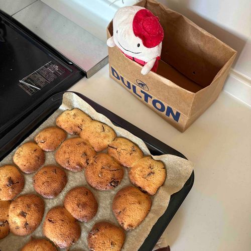 なぞのたびびとフー！

同居人がクッキーを焼いた🍪
フーはクッキーかなり、けっこうだいすきだ。