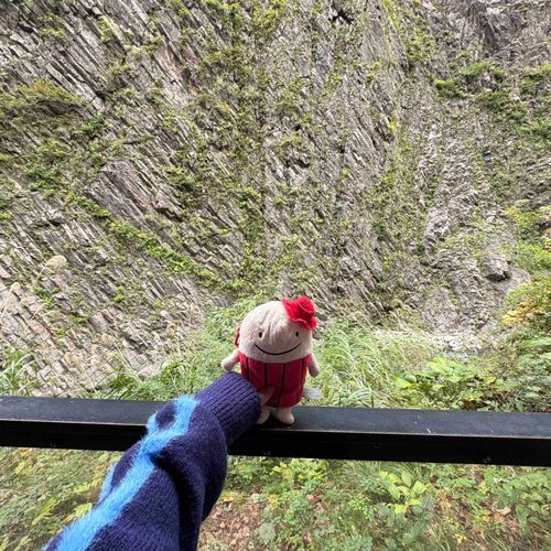 なぞのたびびとフー！

じつは最近、同居人のひとり旅に
フー監視員としてついていきました。
ここは、清津峡渓谷トンネルです。
こわかった、、