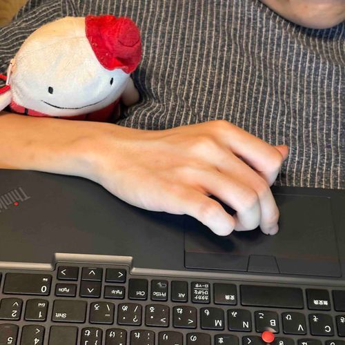 なぞのたびびとフー！

同居人、ぱそこんをゲットしたらしい。
フーも初期設定をおてつだいした。
