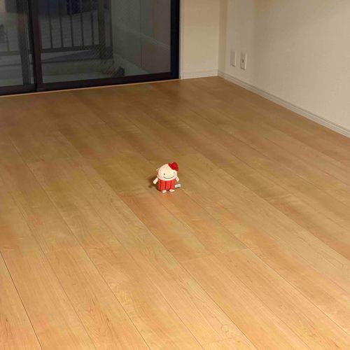 なぞのたびびとフー！

きょうは同居人のひっこしだ。
フーもまたいっしょに住むので、同居人たちとあたらしいおうちの点検をした。