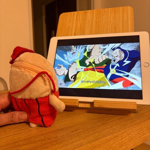 なぞのたびびとフー！

同居人とワンピース鑑賞にハマっている。
フーが一番好きなのは、ラオ爺だ。
（うそだよね？フーちゃん）