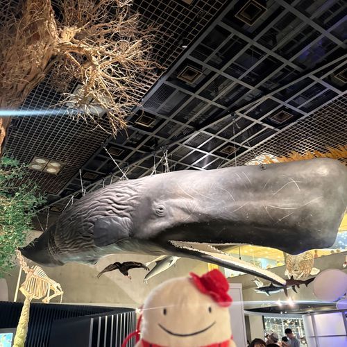 なぞのたびびとフー！

おともだちたち、ひさしぶりだ。
フーは同居人たちとひさしぶりの旅にでた。大きいクジラさんとぱしゃり。
（旅人なのに全然旅に連れて行かずにごめんね、フーさん😥同居人より。）