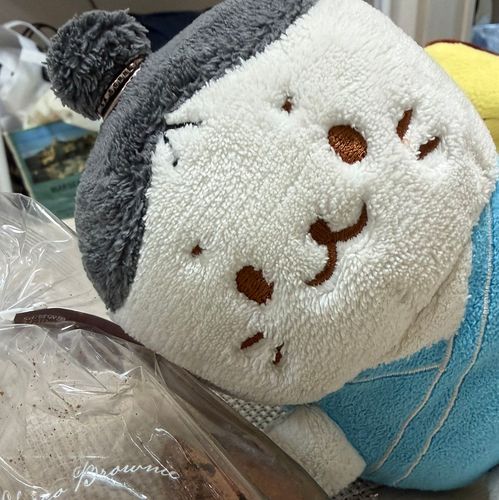 タテゴトアザラシの赤ちゃん しろたんより
浦島太郎たんのﾀﾛです🎣　ﾀﾛﾃﾞｽ

食べ物と一緒に写真を撮ることがだいすき
ときどき歌ったり、踊ったり.....??
ゆったり、もっちり過ごしてます

ぜひ仲良くしてください🦭ﾖﾛｼｸﾃﾞｽｯ
