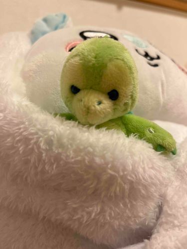 きょうはだめだめだった
けどあしたはがんばれるので大丈夫！おやすみなさい