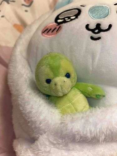 よくない日がつづいてくるしい
あと一日だけがんばろう