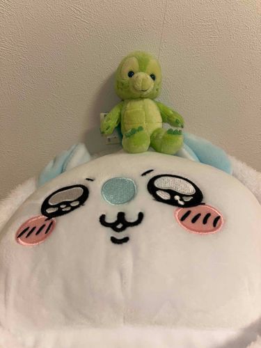 さいごまで よくがんばったね！
ぐっすりおやすみなさい