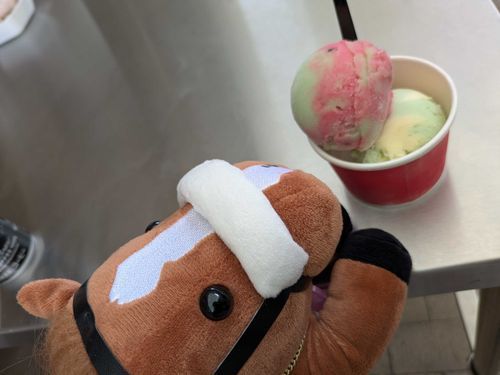 ジェラート🍨😆
