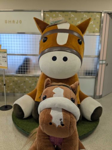 新潟競馬場のUMAJO前にて😆