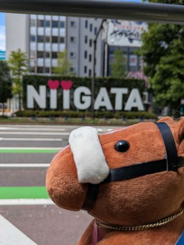 新潟は大都会だったよ😆