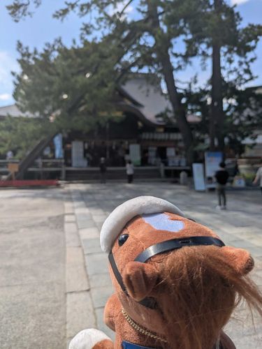 新潟の白山神社ですよ‼️
