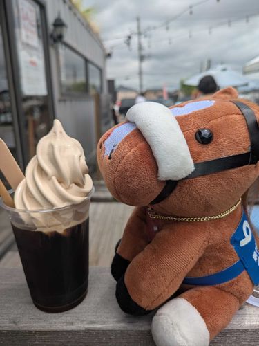 新潟のBAY STANDARD by SUZUKI COFFEE のプレミアムコーヒーフロートですよ！濃くておいしっ