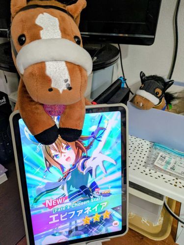 ウマ娘になったお父上と‼️
後ろはアモアイちゃんですよ‼️