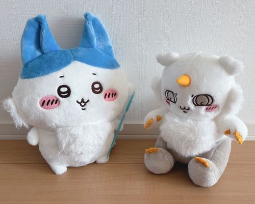 ハチワレ？