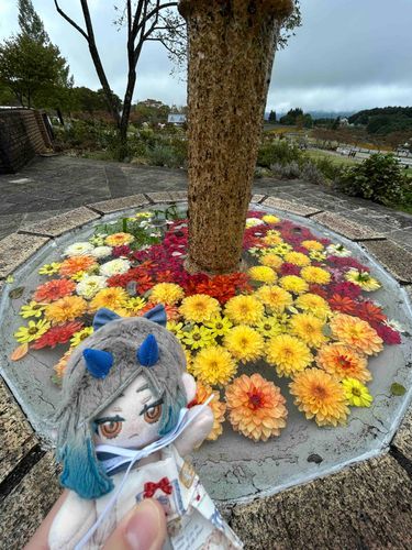 キレイなお花の噴水をみつけたよ⛲️✨