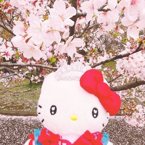 キュートでかわいいハローキティと旅をします