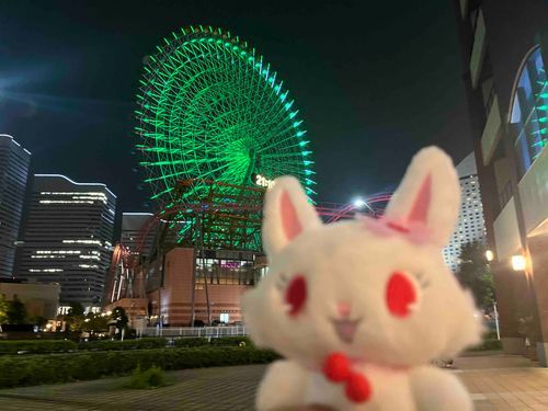 おおきな観覧車！！！🐰💎🎡