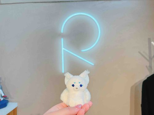 Ｒ
🦊