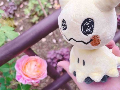 🌹👻