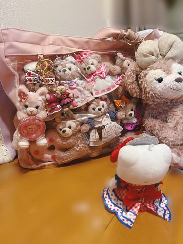 ごめんｷﾃｻﾝ､今回はさすがに連れて行けないわ