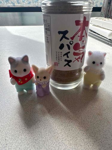 チーズたちは、バニアさんきょうだいです！ほかにも、おうちのなかまたちには、きいろいぞうさんや、ふにゃふにゃのあひるさんや、つるつるのかめさんがいます。よろしくおねがいします！