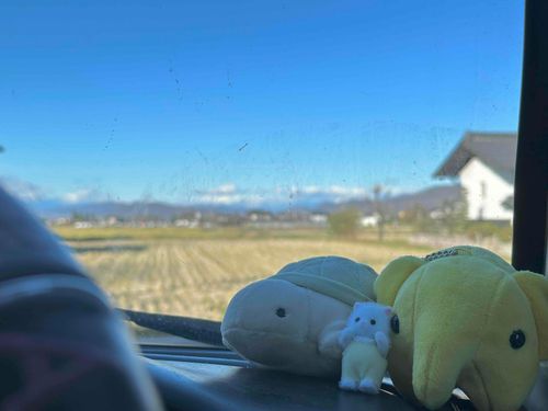 歯医者さんに行くんでちゅわよ～～～！！！！車のフロントがお汚いでちゅわよ～～～！！！！
