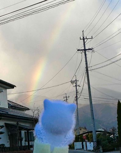 虹でちゅ！！！！虹でちゅわ～～～～～～！！！！！！！！