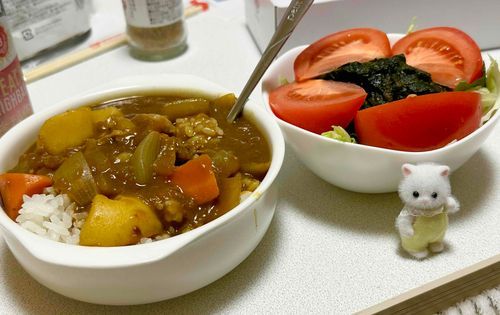 今日はカレーでちゅのよ～～～～～！最近ハマってる、聖護院かぶらのゆずポン酢みたいなやつをかけたワカメサラダでちゅわ～～～！！おいちいのでおためしあれでちゅわよ！！