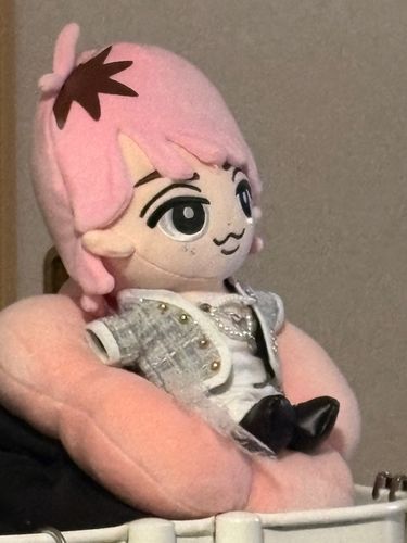 かわいいイスで 嵐先輩見てるよ〜
