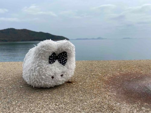 このあいだ、牡蠣の食べ放題に行って海できねんさつえいした
