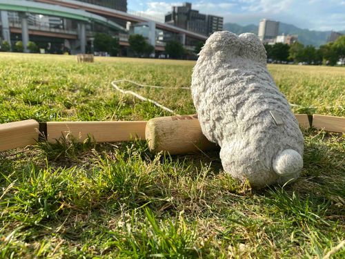 ピクニック行ってモルックした
たのしかった🐇🥖