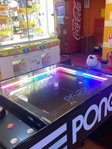 ゲームセンターでゲームした
飼い主とはくねつした試合をくりひろげた…

