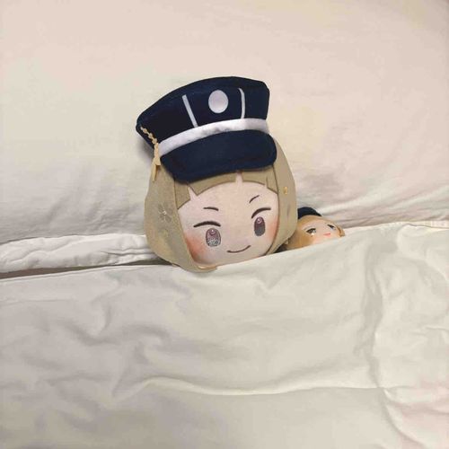 おおきな ふとんですね
おやすみなさいませ