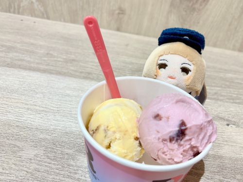 あいすですね
ばーがんでぃーちぇりーが すごくおいしいと、しゅくんが うれしそうにしていました