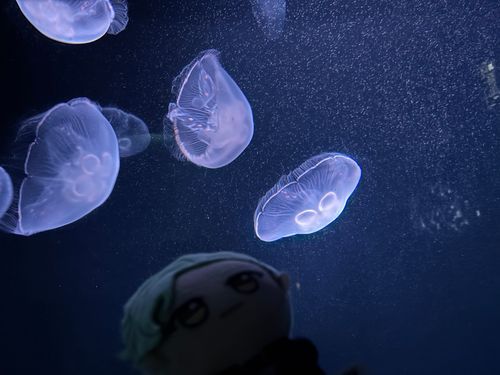幻想的だね、レオン