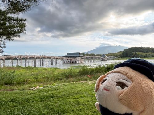 ながい りっぱな はし ですね
ひがんばな は すこしだけ さいてました