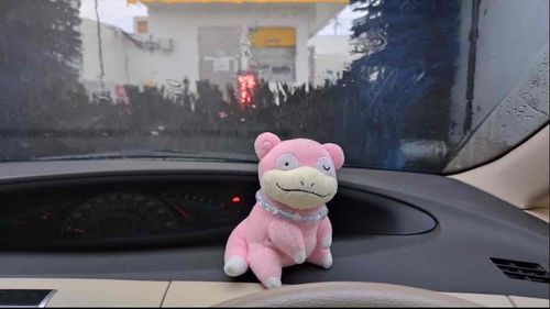 洗車機やぁん♪