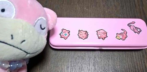 ピンクポケモンのチョコをもらったのやぁん🩷
