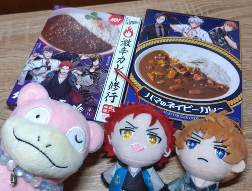 ヒプマイカレーが届いたのやぁん🩷
くーこー君りおーさんと一緒に記念撮影やぁん🩷