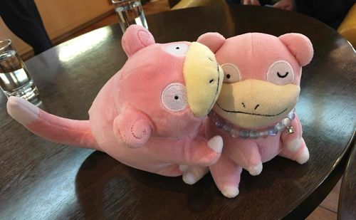 主のお姉ちゃんちのヤドンに絡まれたやぁん